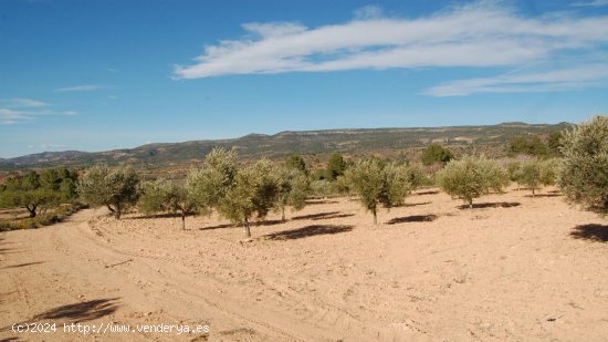 Parcela en venta en Teresa de Cofrentes (Valencia)