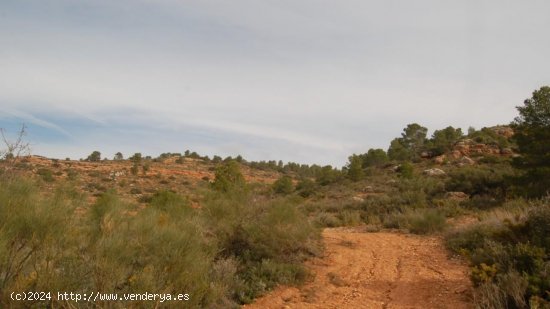 Parcela en venta en Teresa de Cofrentes (Valencia)