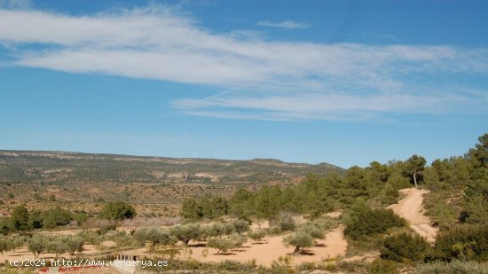 Parcela en venta en Teresa de Cofrentes (Valencia)