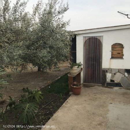 Villa en venta en Tortosa (Tarragona)