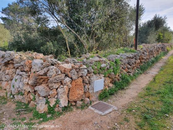 5 SOLARES URBANO (SA CABANETA) PARA 5 CHALETS UNIFAMILIARES CON VISTAS A LA BAHIA (ru800) - BALEARES