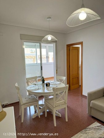 Apartamento en alquiler en Torrevieja (Alicante)