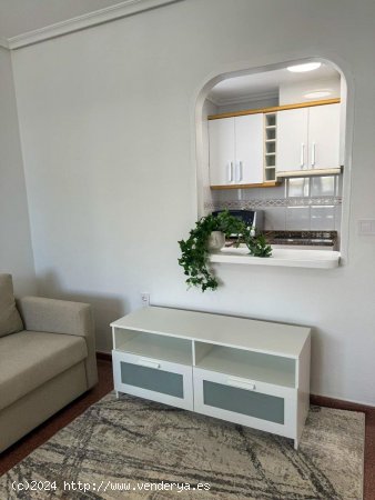 Apartamento en alquiler en Torrevieja (Alicante)