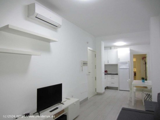 Apartamento en alquiler en Fuengirola (Málaga)