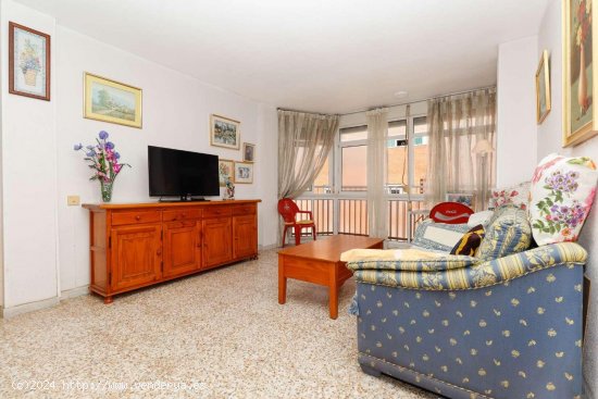  Apartamento en venta en Torrevieja (Alicante) 