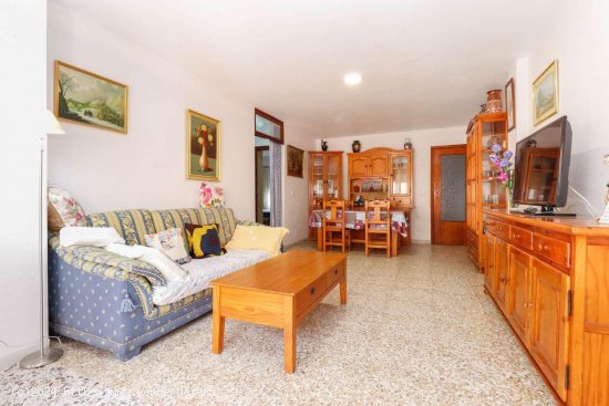 Apartamento en venta en Torrevieja (Alicante)