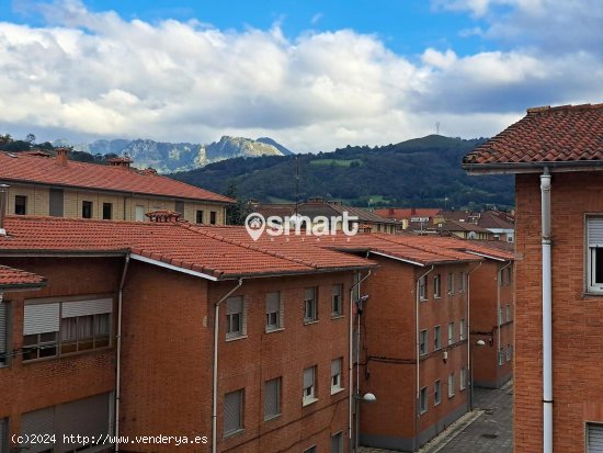 Piso en venta en Laviana (Asturias)