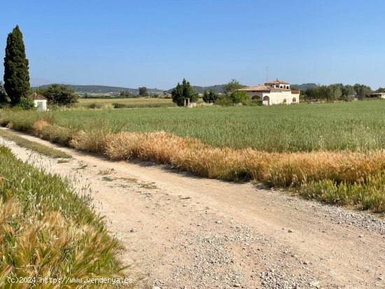 Finca en venta en Sineu (Baleares)