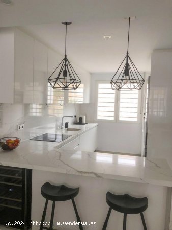 Apartamento en alquiler en Torrevieja (Alicante)