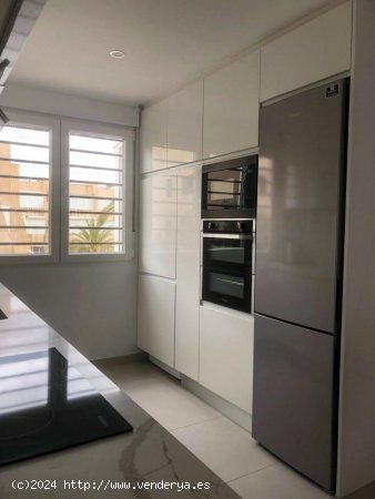 Apartamento en alquiler en Torrevieja (Alicante)