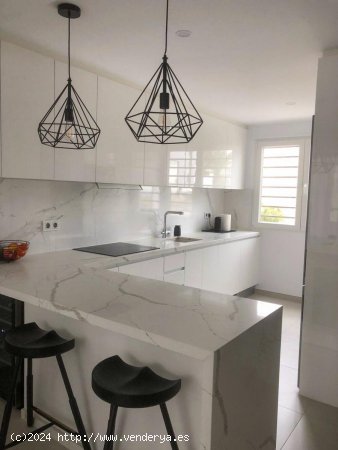 Apartamento en alquiler en Torrevieja (Alicante)