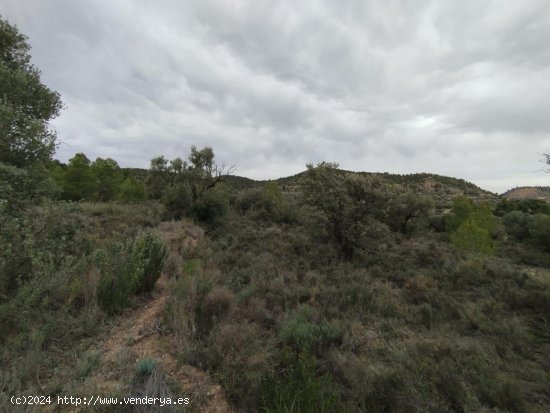 Finca en venta en La Fresneda (Teruel)