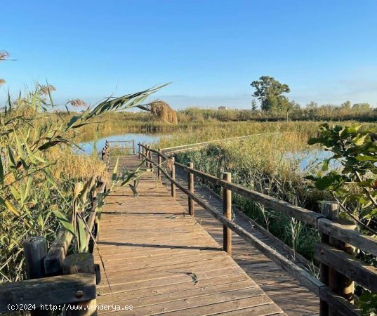  Finca en venta en Oliva (Valencia) 