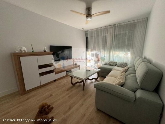 Apartamento en alquiler en Motril (Granada)