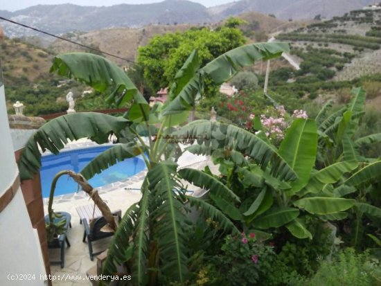 Casa en alquiler en Almuñécar (Granada)