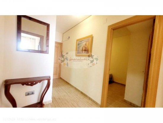 Apartamento en alquiler en Almuñécar (Granada)