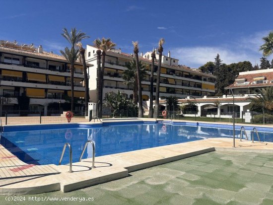 Apartamento en alquiler en Marbella (Málaga)