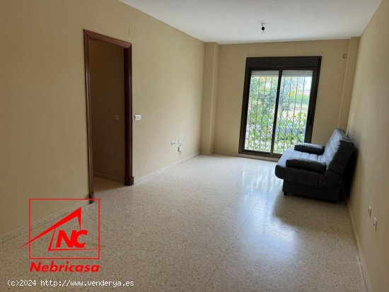 Piso en venta en Jerez de la Frontera (Cádiz)