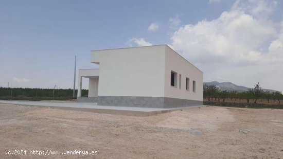 Villa en venta a estrenar en Pinoso (Alicante)