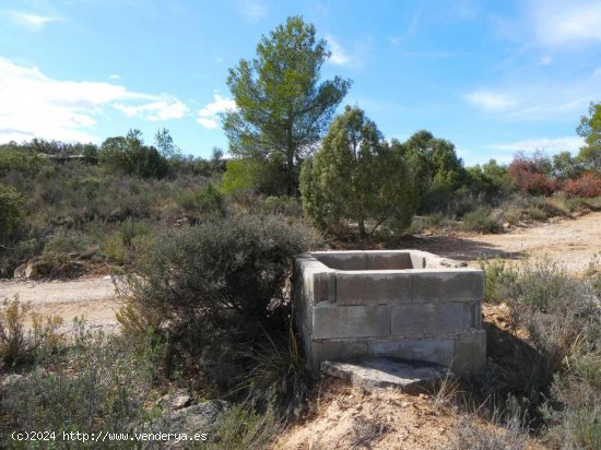 Finca en venta en Maella (Zaragoza)