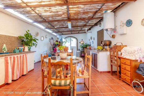 Finca en venta en Estepona (Málaga)