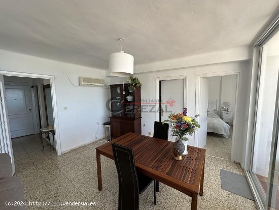 Apartamento en alquiler en Torre del Mar (Málaga)