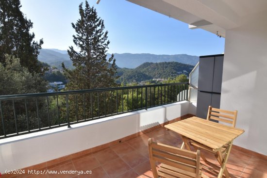 Apartamento en alquiler en Sóller (Baleares)