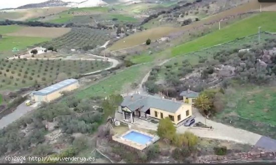  Finca en venta en Casabermeja (Málaga) 