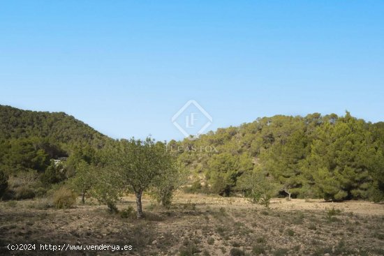  Parcela en venta en Sant Josep de sa Talaia (Baleares) 