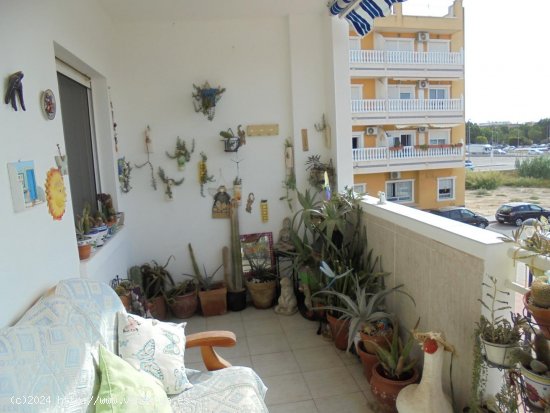 Apartamento en venta en Almoradí (Alicante)