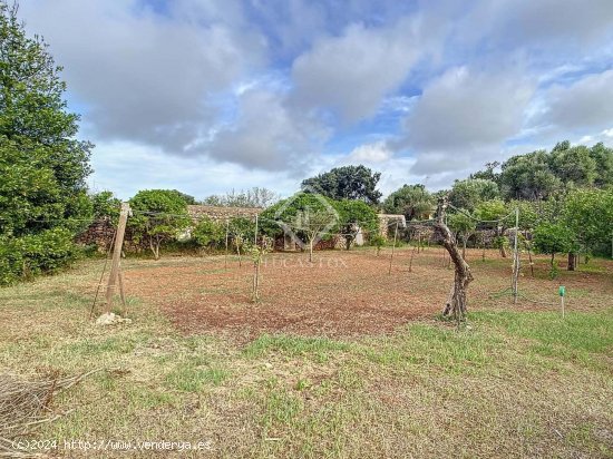 Casa en venta en Ciutadella de Menorca (Baleares)