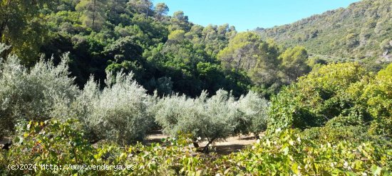 Finca en venta en Villacarrillo (Jaén)