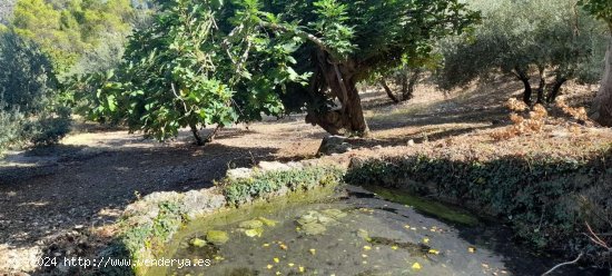 Finca en venta en Villacarrillo (Jaén)