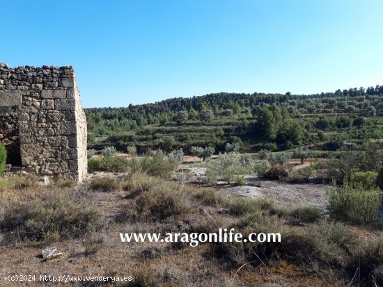 Finca en venta en Mazaleón (Teruel)