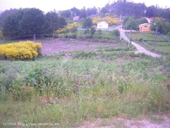  Solar en venta en Campo Lameiro (Pontevedra) 