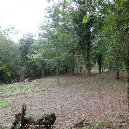  Finca en venta en Gondomar (Pontevedra) 