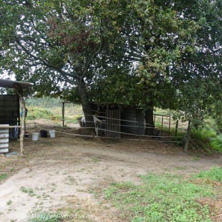 Finca en venta en Gondomar (Pontevedra)