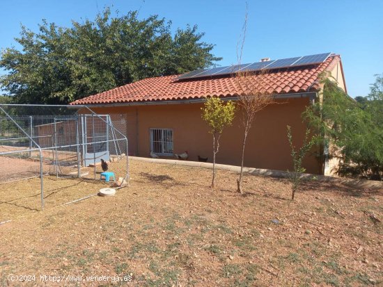 Villa en venta en Valencia (Valencia)