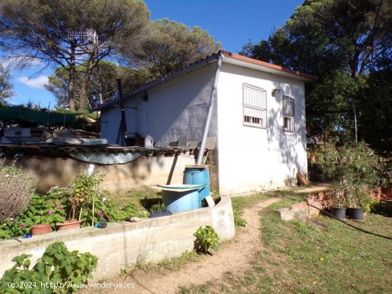 Parcela en venta en Massanes (Girona)