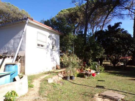 Parcela en venta en Massanes (Girona)