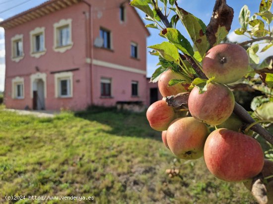 Casa en venta en Belmonte de Miranda (Asturias)