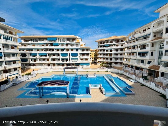 Apartamento en venta en Torrevieja (Alicante)