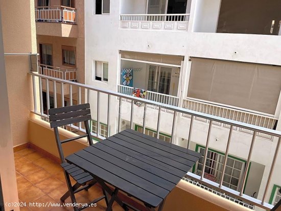 Apartamento en alquiler en Arona (Tenerife)