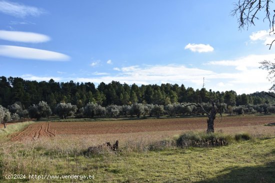 Finca en venta en Arnes (Tarragona)