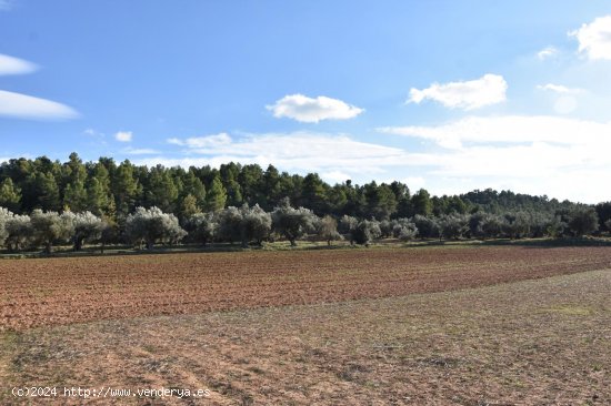 Finca en venta en Arnes (Tarragona)