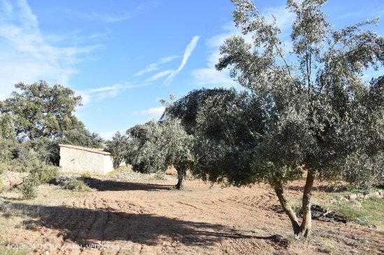 Finca en venta en Arnes (Tarragona)