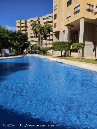  Apartamento en venta en Benidorm (Alicante) 