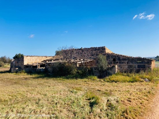 Finca en venta en Llubí (Baleares)