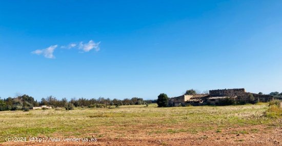 Finca en venta en Llubí (Baleares)