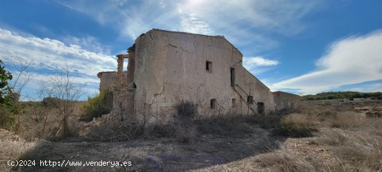  Finca en venta en San Miguel de Salinas (Alicante) 